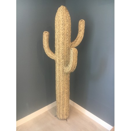 Dekoration aus Kaktus-Pflanzenfasern