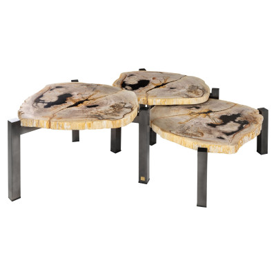 Set mit 3 Tischen aus versteinertem Holz