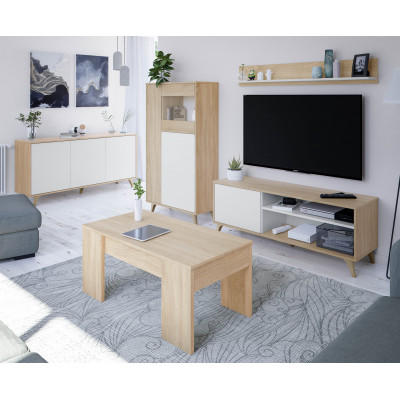 TV-meubel 2 nissen en 1 deuren met wandplank FOTV16616F