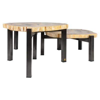 Set van 3 tafels van versteend hout