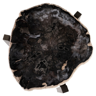 Zkamenělý dřevěný odkládací stolek