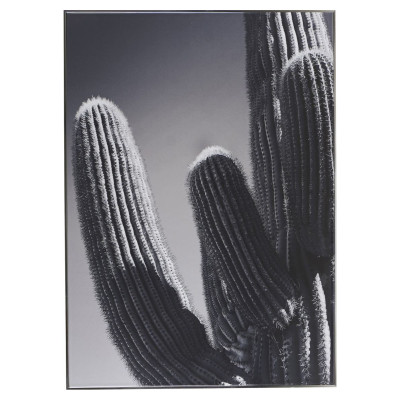Plakát, kaktus