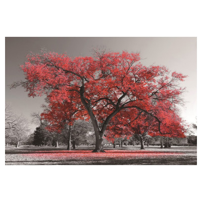 Cherry Blossom Maleri