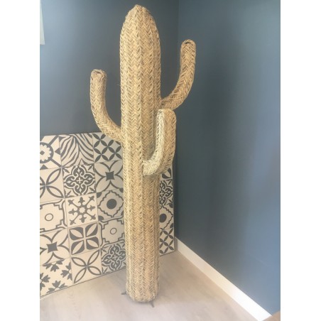 Cactus décoration fibre végétale