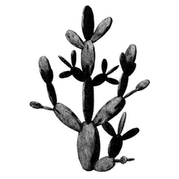 Tableau Cactus black