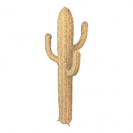 Cactus décoration fibre végétale