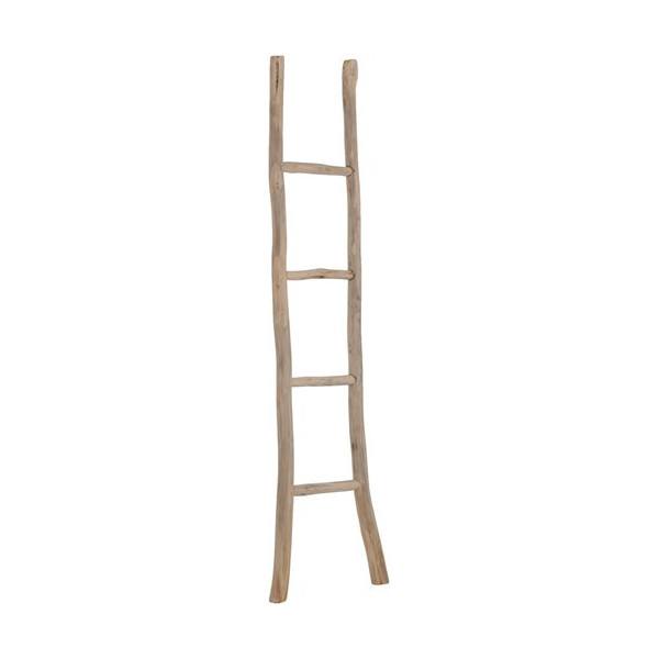 Must-Have Ladder