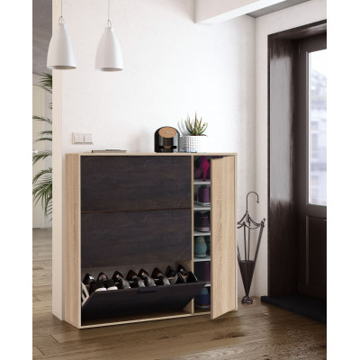 FOCHAU7818F shoe cabinet with 2 flaps and 1 door