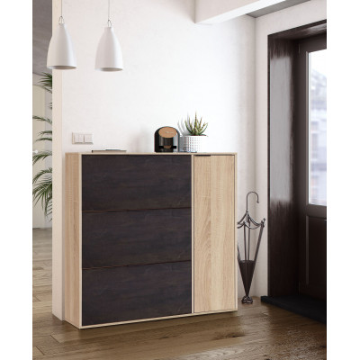 FOCHAU7818F shoe cabinet with 2 flaps and 1 door