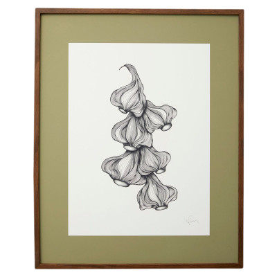 Garlic illustration frame