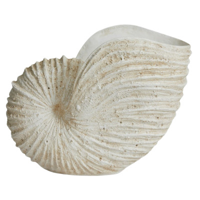 Ketoy decorative conch