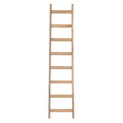 Ladder ladder