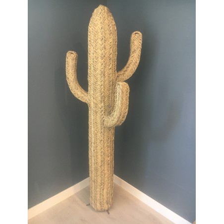 Cactus plant fiber decoration
