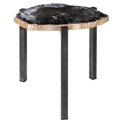 Petrified wood side table