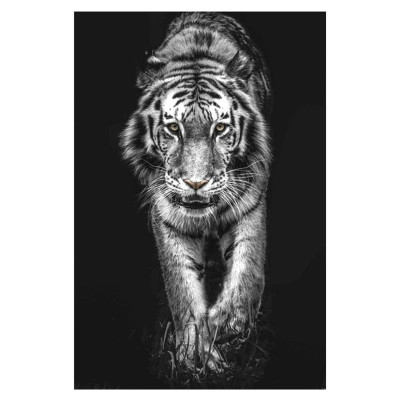 Pintura de tigre em preto e branco