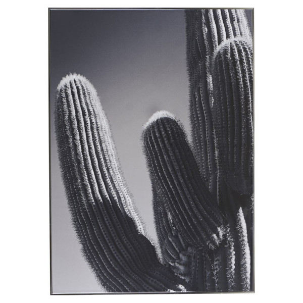 Cartaz Cactus