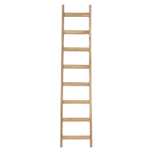 Ladder lestev